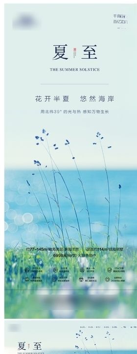 夏至节气稿