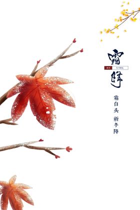 霜降图片