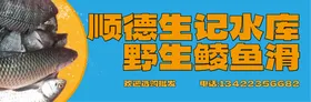 多鱼版