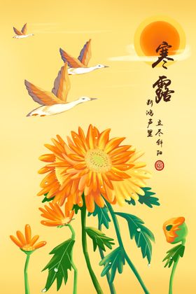 中式寒露宣传