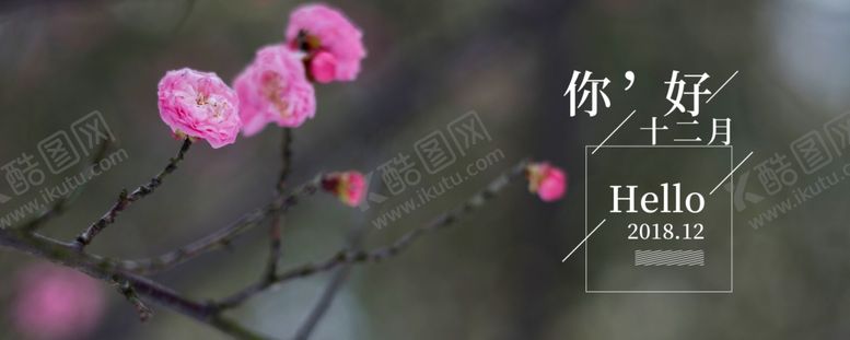 编号：36362205011845332730【酷图网】源文件下载-你好12月