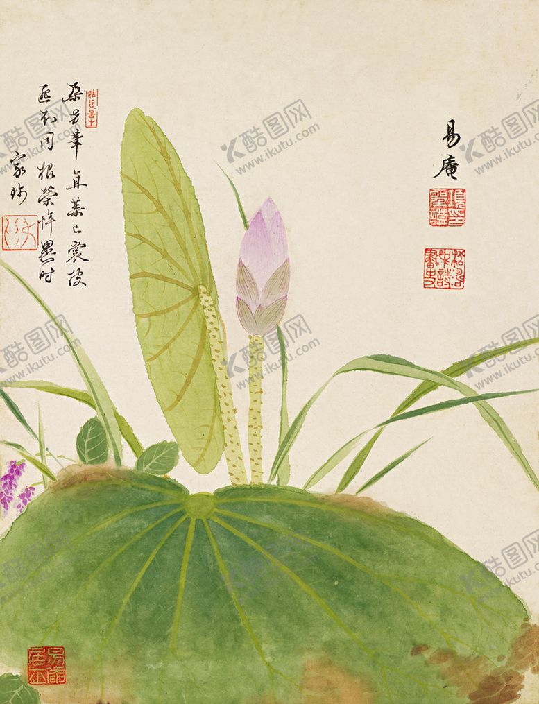 编号：04167909181612146280【酷图网】源文件下载-花鸟画  