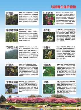 珍稀野生保护动物
