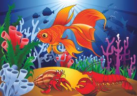 海底乐园生物水底乐园水草