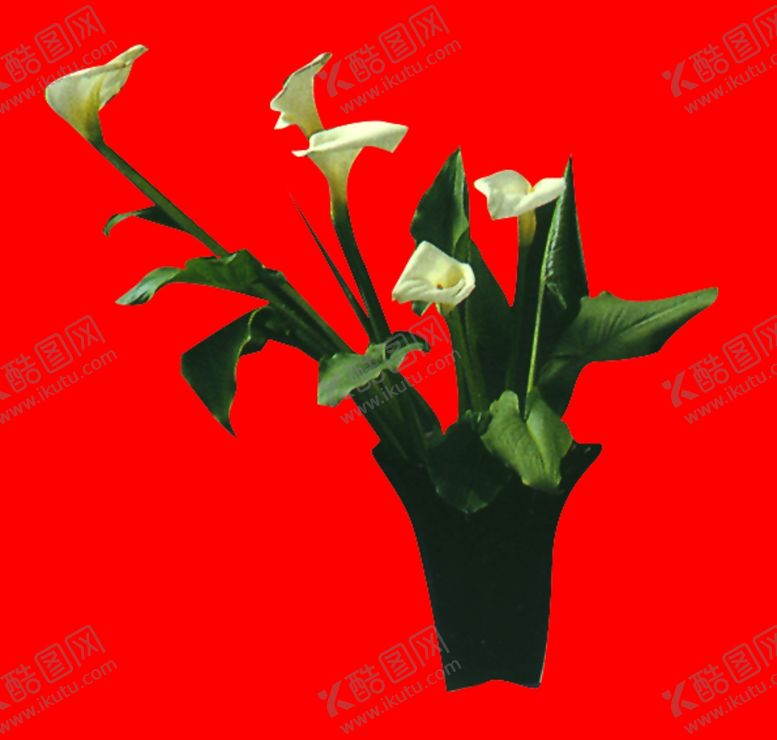 编号：13767210022039501823【酷图网】源文件下载-盆景