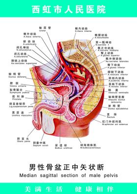 男性品牌企业文化宣发海报