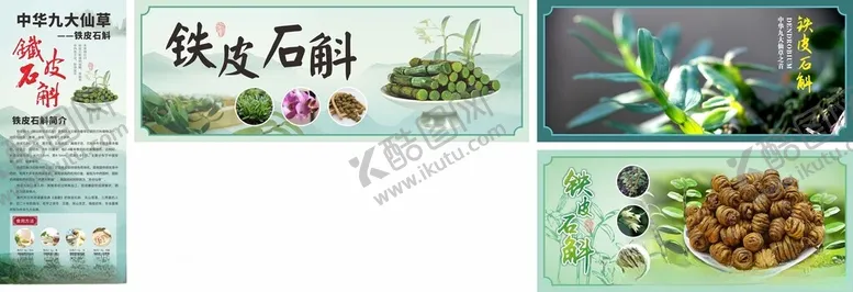 编号：67665303091145529719【酷图网】源文件下载-铁皮石斛
