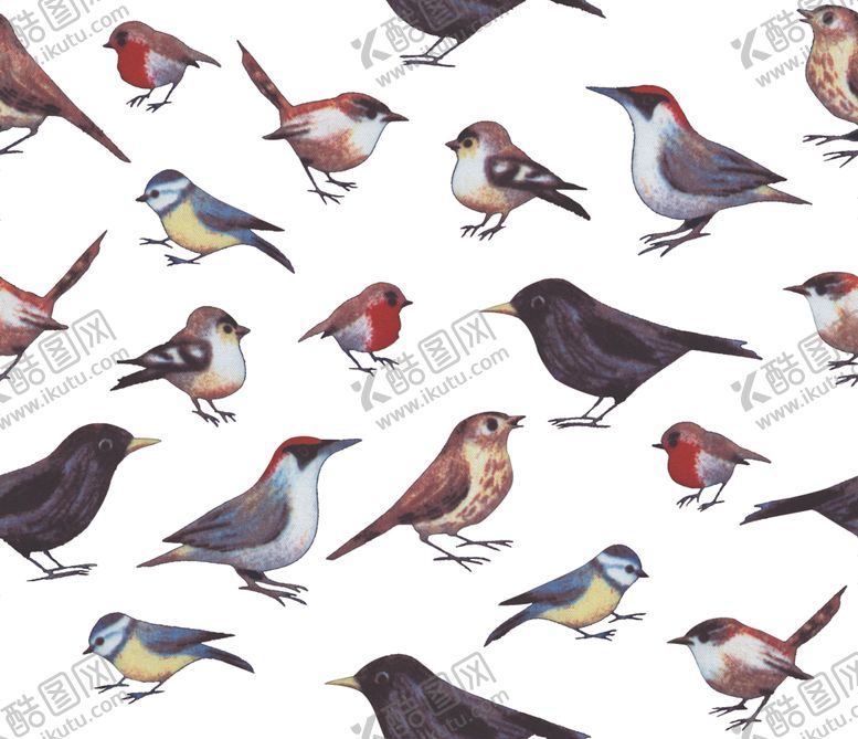 编号：77252609131138328754【酷图网】源文件下载-小鸟