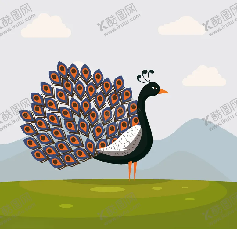编号：59284106260909546489【酷图网】源文件下载-孔雀