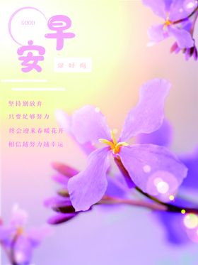 早安315主题315抽奖券315广告315权益日