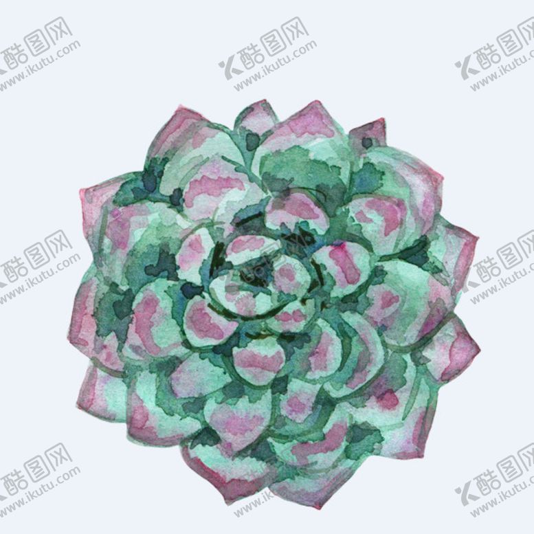 编号：54379210100033465793【酷图网】源文件下载-png格式植物花卉手绘素材