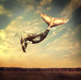 世界各地风景图片