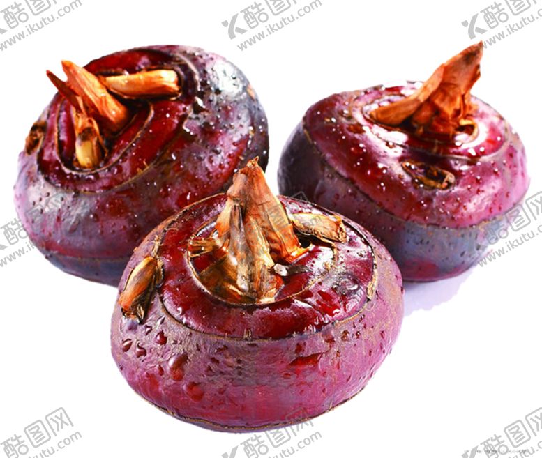 编号：85936010281749147321【酷图网】源文件下载-比奇