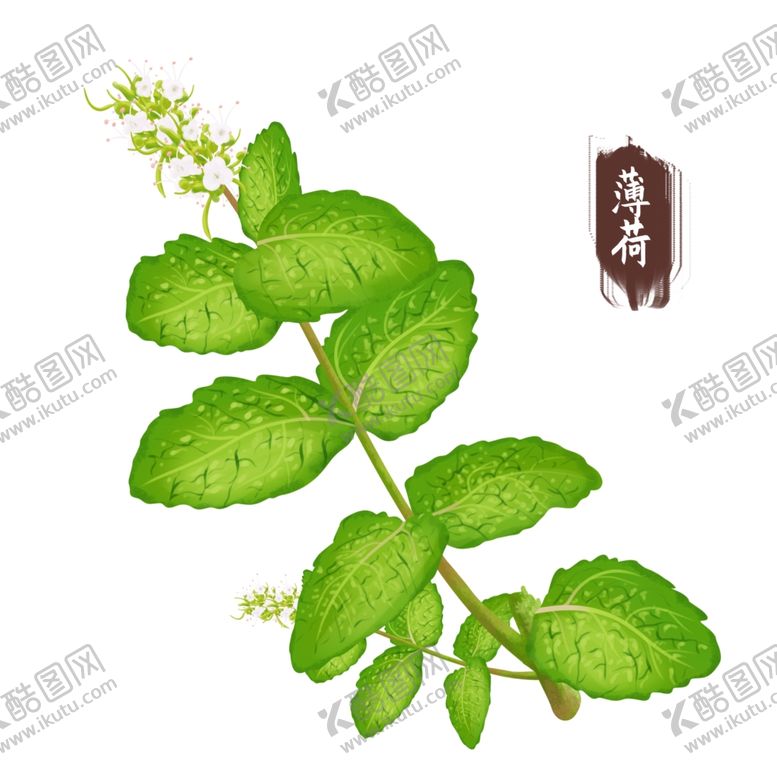 编号：40241801260831397289【酷图网】源文件下载-中药手绘插画