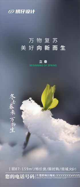 地产立春节节气海报