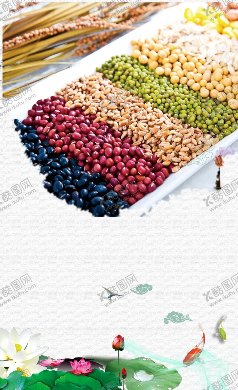 编号：95821306151246572285【酷图网】源文件下载-五谷杂粮海报