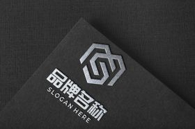 样机logo样面