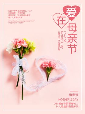 母亲节康乃馨日日海报海报
