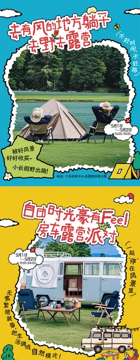 宠物