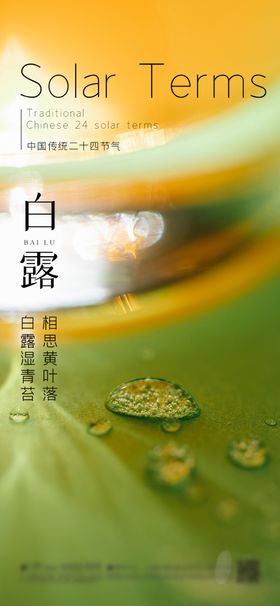 白露节气海报地产微信朋友圈二十四