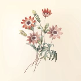 花纹