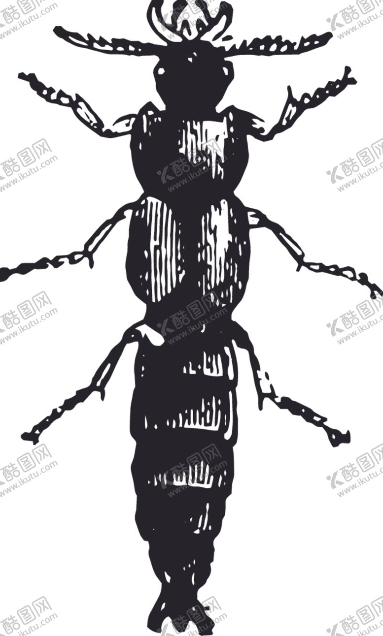 编号：93857909150551012465【酷图网】源文件下载-自然昆虫标本插画