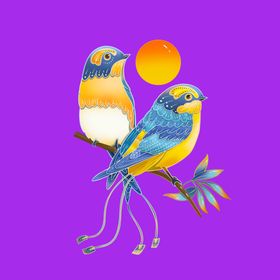 手绘小鸟鸟类