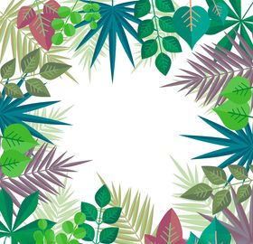 植物背景