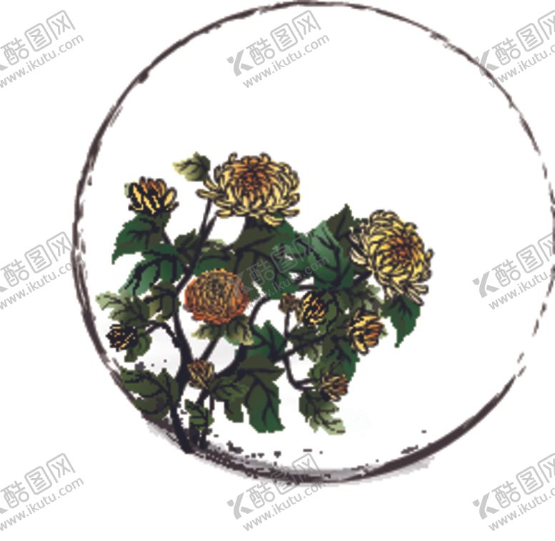 编号：62883509111047224630【酷图网】源文件下载-菊花