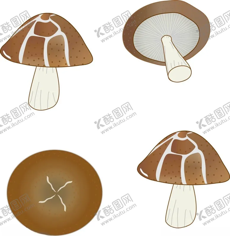 编号：25015802240336096801【酷图网】源文件下载-香菇