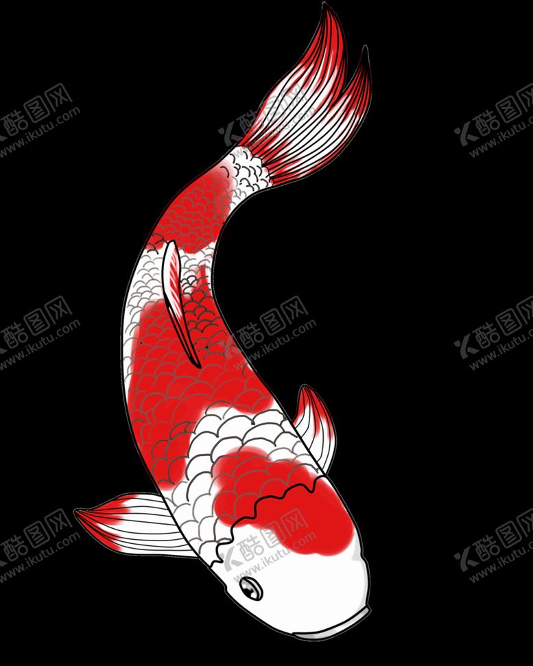 编号：69021810020337591402【酷图网】源文件下载-锦鲤