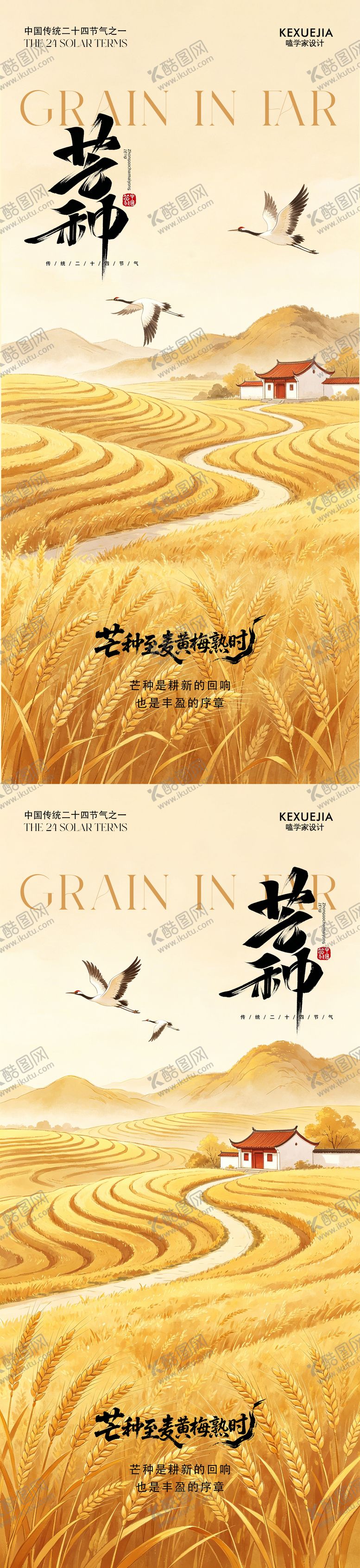 编号：30285405240213452435【酷图网】源文件下载-芒种节气系列海报