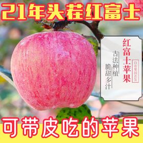 编号：10496709230009094306【酷图网】源文件下载-苹果手表主图