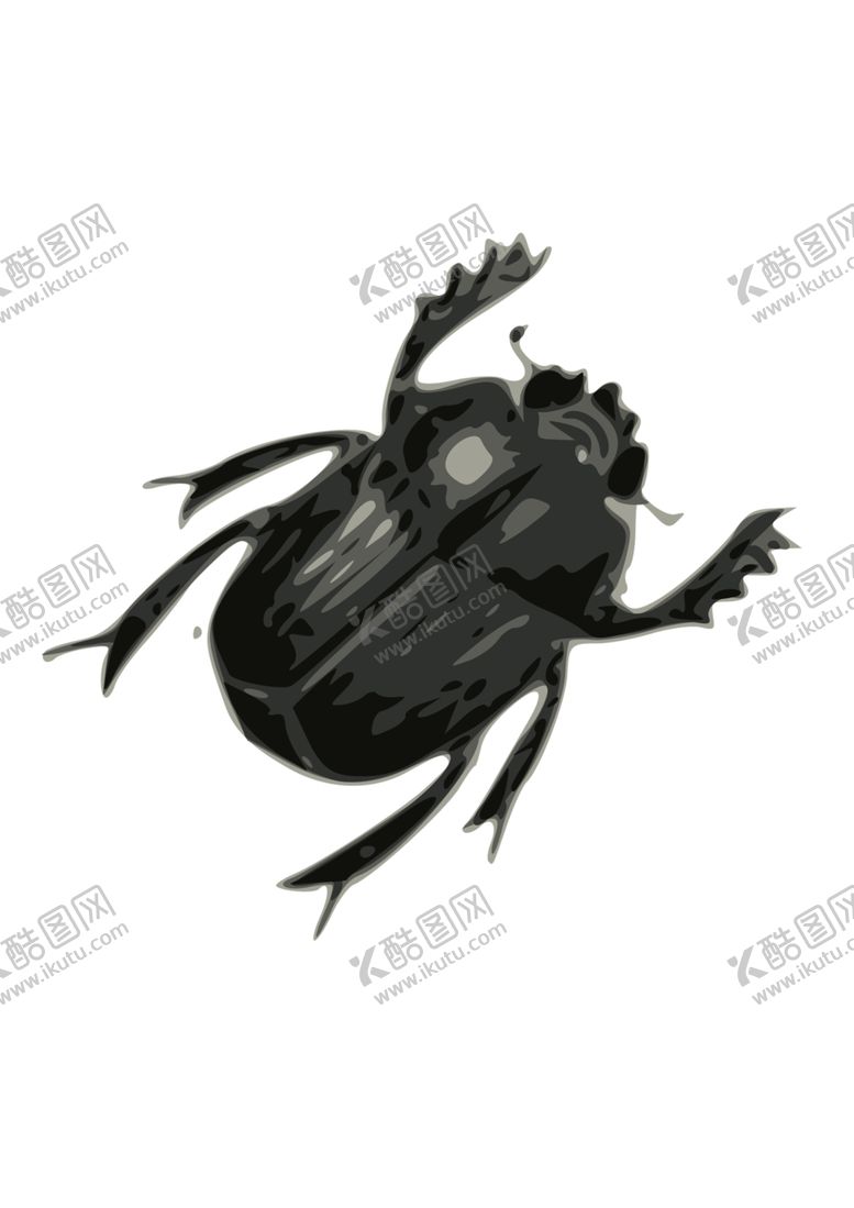 编号：85506104190235238805【酷图网】源文件下载-甲虫