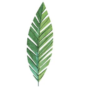 绿色水彩植物树叶