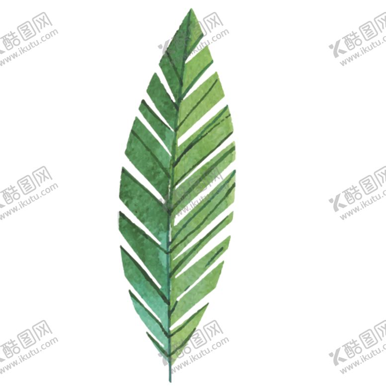 编号：16850607052103453432【酷图网】源文件下载-绿色水彩植物树叶