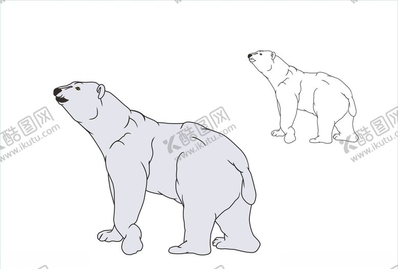 编号：20470810302037412151【酷图网】源文件下载-北极熊