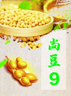 尚游