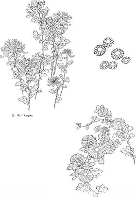 日本线描植物花卉矢量素材