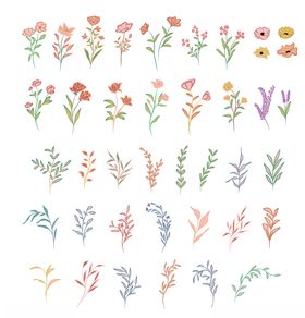 植物花纹