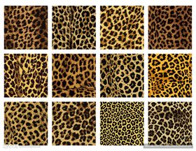豹纹纹理