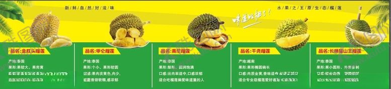 编号：64835712191928578501【酷图网】源文件下载-榴莲