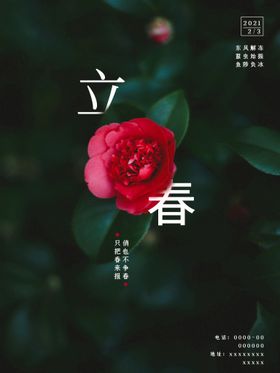 立春插画图片森系浪漫古风