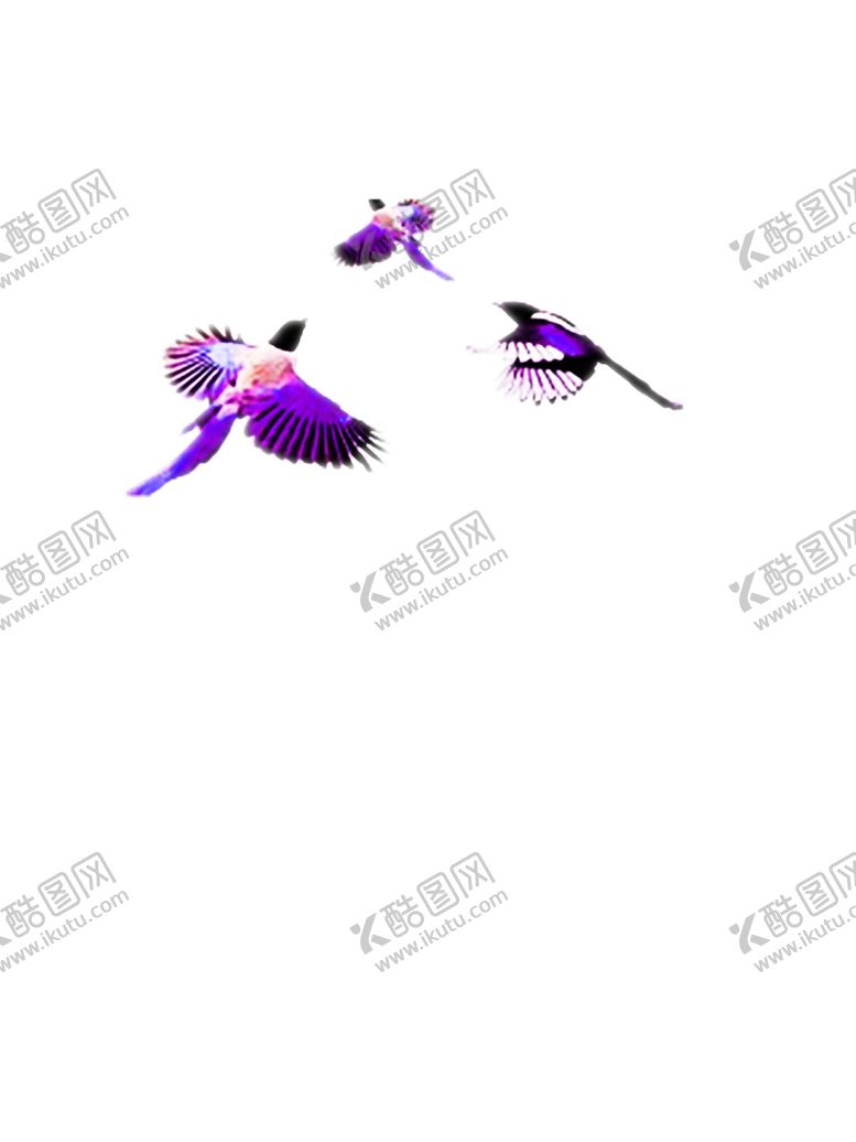 编号：65915509270405072512【酷图网】源文件下载-花素材