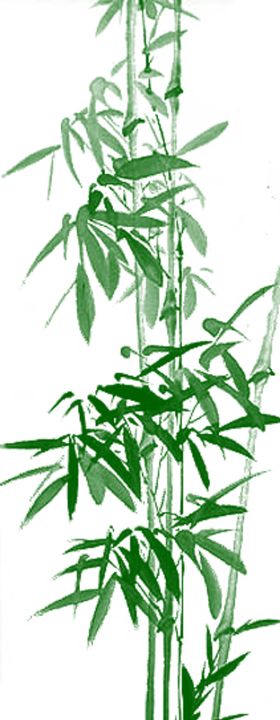 水墨竹子
