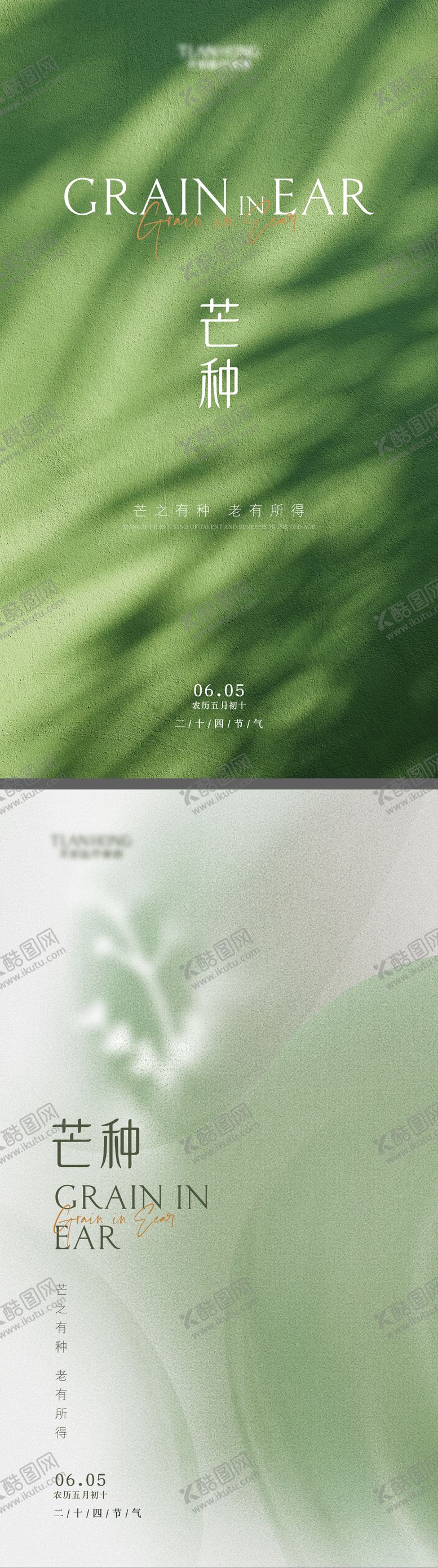 编号：85857606151718149114【酷图网】源文件下载-芒种系列海报