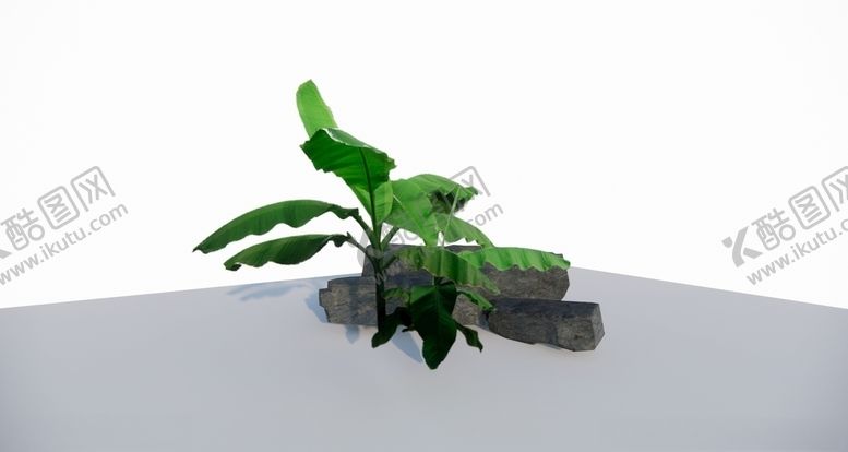 编号：77124010070924555884【酷图网】源文件下载-绿色灌木