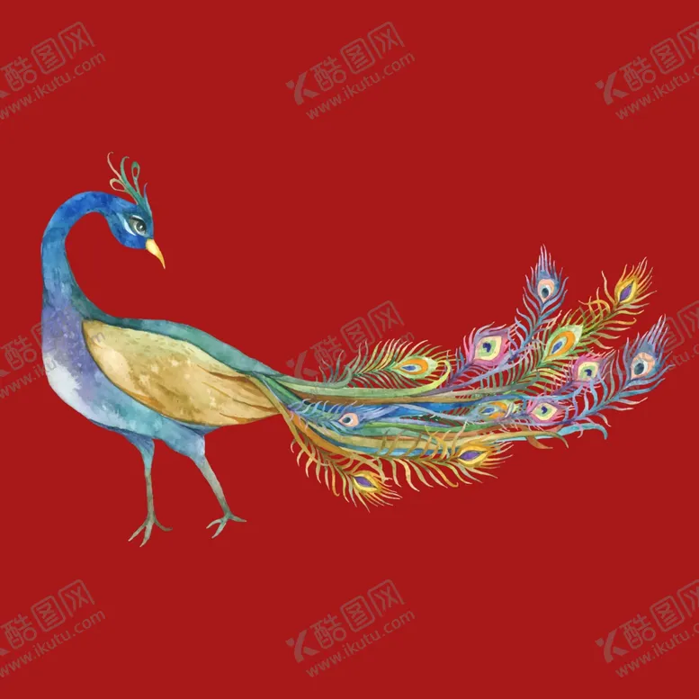 编号：22141102171837483729【酷图网】源文件下载-手绘卡通孔雀