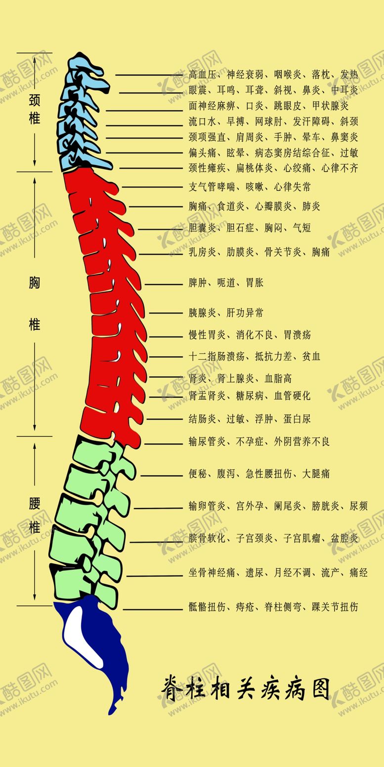 编号：48519106241946406795【酷图网】源文件下载-脊柱相关疾病图