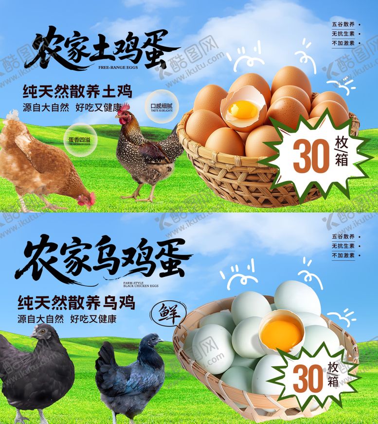 编号：86164504221535255584【酷图网】源文件下载-土鸡蛋主视觉活动展板